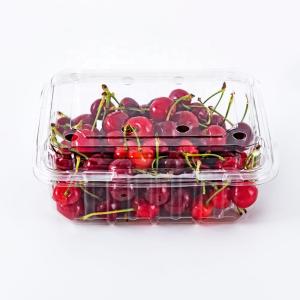 Wholesale Blister Molding Customized Food Takeaway Containers from china suppliers