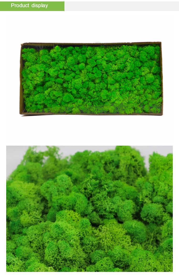 Multiple Colors Interior Decoration Preserved Green Wall With Simple Structure