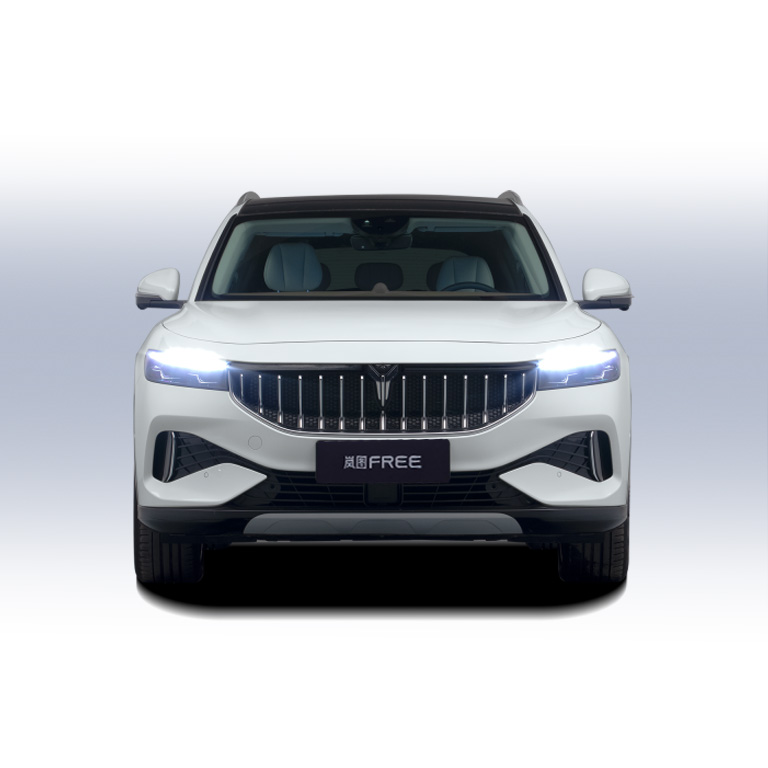 2023 Luxury Energy Pure Electric Car 4Wd Long Range Nedc 505Km Voyah Free 0km Length Width Height mm 4905*1950*1645
