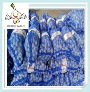 Wholesale High Quality Chinese Jinxiang garlic for sale normal white garlic from china suppliers