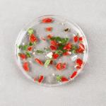 Laboratory Services 150x15mm Large Petri Dishes Culturing Cells Disposability