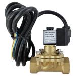 Automatic LPG Dispenser Solenoid Valve Fuel Pump 12V Petrol Solenoid Valve