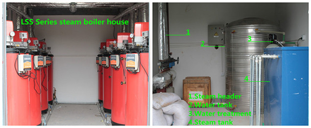 LSS Oil Gas Industrial Steam Generator Small Capacity Built - In Configuration