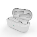 Sports True Wireless Stereo Earphones DX-09 300mAh Charger Case Earbuds 2.4GHz