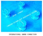 Q235-A CARBON STEEL GALVANIZED OILY SEWAGE INTERNATIONAL SHORE CONNECTION MODLE