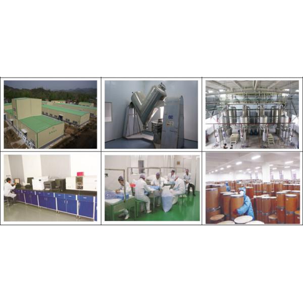 Factory Price Natural Vegetable Dried Onion Extract Powder
