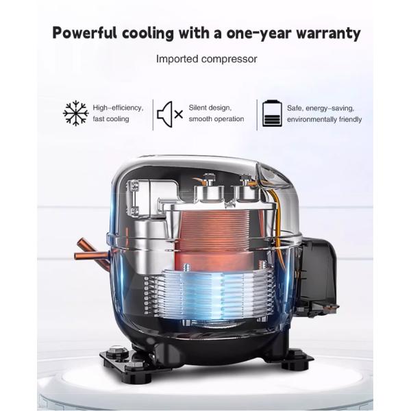 Commercial Kitchen Equipment Quick Freezer Shock Freezing Machine Blast Freezer Manufacturer