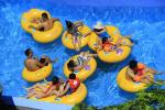 11m / 8m Height High Speed Slide, 5 Riders Fiberglass Water Slides Water Park