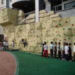 Composite Fiberglass Rock Climbing Wall Panel for Climbing Gym Max Capacity 100