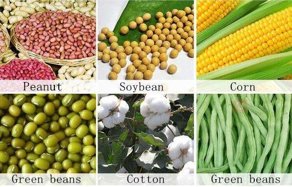 Mounted Farming Tools Equipment Professional CE Seed Planter Machine