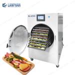 45kg 40kg Home Freeze Dryer Fruit Dog Treat Food Vegetable Fruit Freeze Dryer