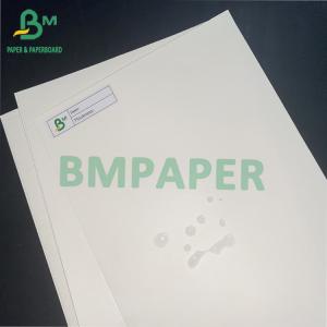 Wholesale 15g PE Coated 1 Side Cup Stock Paper Board For Hot Drink Cup Cold Drink Cup from china suppliers