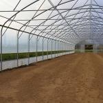 Vegetables Plant Polyethylene Film Greenhouse With Cooling System Easy Install