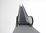 30 / 27.3 Degrees Heavy Duty Escalator Type 1000 Glass / St. St. Panel
