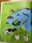 WCA ICTI AAA Battery children's audio stories 77 Keys