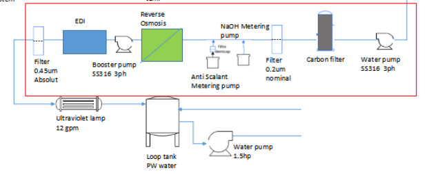 500LPH one pass RO and EDI system for PW water