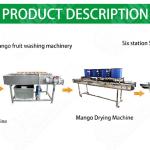 Steel Vegetable And Fruit Washing Machine Water Ginger Dehydrator Machine