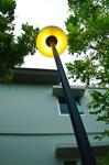 Dhalia Yellow Polyester Powder Coating Non Toxic Paint RAL 1033 For outdoor