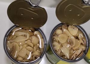 Wholesale Salt Canned Champignon Mushroom from china suppliers