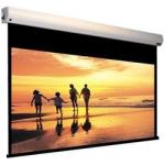 400 " large Projection Screen , Electric Projection Screens with Tubular Motor
