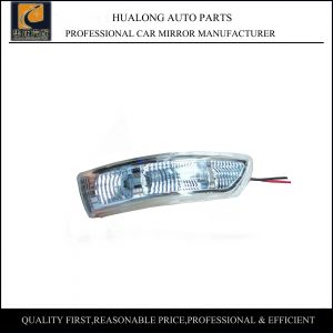 08 Hyundai Sonata Door Side Mirror Tuning Signal Lamp