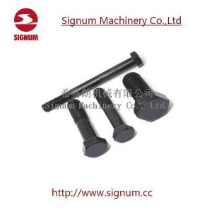 Wholesale Clip Bolt for Rail Fishplate, Railway Fasteners Hex Head Bolt from china suppliers
