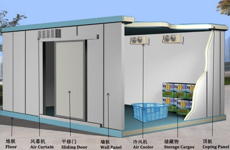 Poultry meat chicken walk-in quick freezing machine blast freezer