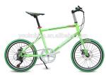 Ladies Aluminum 7 Speed 24 Inch Wheel Electric Bike