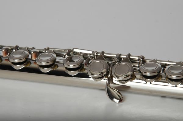 Student Flute Beginners Flute 16 Hole Concert School Flute 2 Year ... Profession