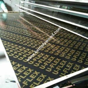 Wholesale Cheap price black film faced plywood, black shuttering film faced plywood with brand logo, phenolic plywood from china suppliers