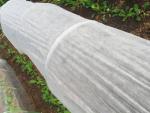 Spunbond Nonwoven Fabric for Traditional Design Packaging Bags After-sale