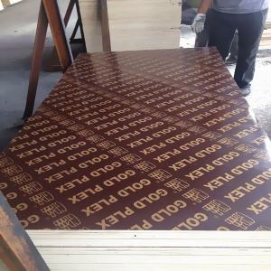 Wholesale Film Faced Plywood/ Construction Formwork/ Shuttering Plywood with Poplar Core from china suppliers