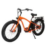 High Torque Fat Tire E-bike 750W Hub Motor 13AH Battery Capacity 45KM Travel