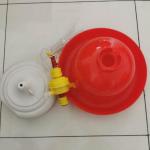 Automatic Plasson drinkers animal feed