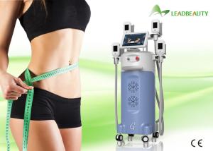Wholesale CE approved 0.1 Celsius adjustable body sculpting cryolipolysis fast result kryolipolyse slimming from china suppliers