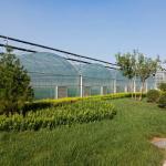 Factory wholesale stock exterior shading steel frame commercial multi span film