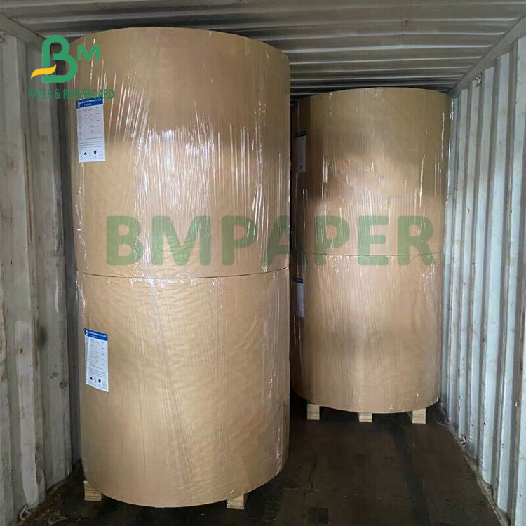 Waterproof 250gsm + 15g PE Coated Kraft Paper Roll For Disposable Cup 770mm