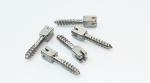 Dental Stainless Steel Ouro Post / Dental Titanium Screw Post