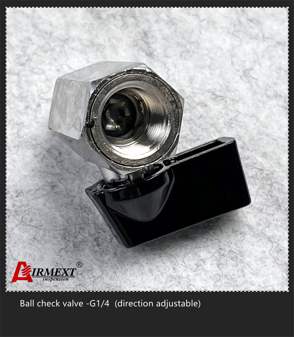Direction Adjustable Safety Ball Check Valve G1/4 For Solenoid Valve Manifold