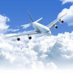 Door To Door Special Goods International Cargo Shipping Economy Freight Shipping