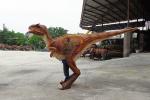 Real Looking Dinosaur Costume Water Resistant For Outdoor Playground