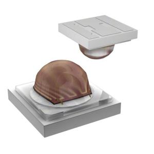 Wholesale ELSW-F61O1-0LPNM-AR3R4 from china suppliers