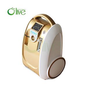 With battery,trolley bag,trolley cart,car adaptor,portable oxygen concentrator