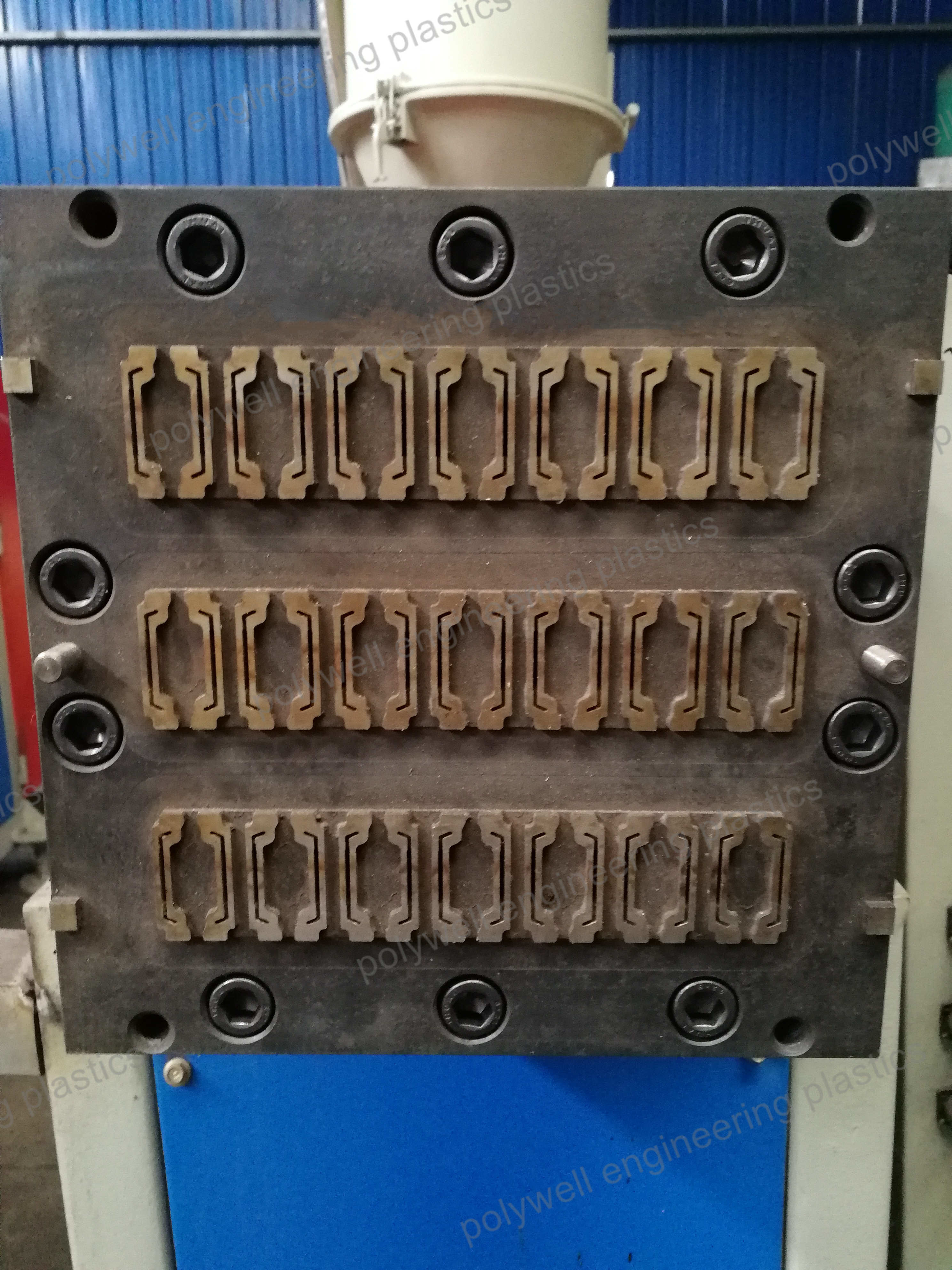 Injection Mold Put In Nylon Thermal Barrier Strip Extruding Machine
