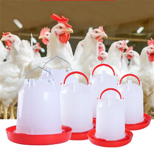 HDPE Poultry Water Drinkers 15KG Automatic Water Feeder For Chickens