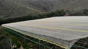 Wholesale HDPE UV Treated Insect Proof Agricultural Netting Provides Tear Resistance from china suppliers