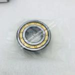NSK cylindrical roller bearing NUP2206EM
