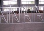 Heavy Duty Construction Cattle Headlock Feeder Dairy Cattle Equipment Galvanized