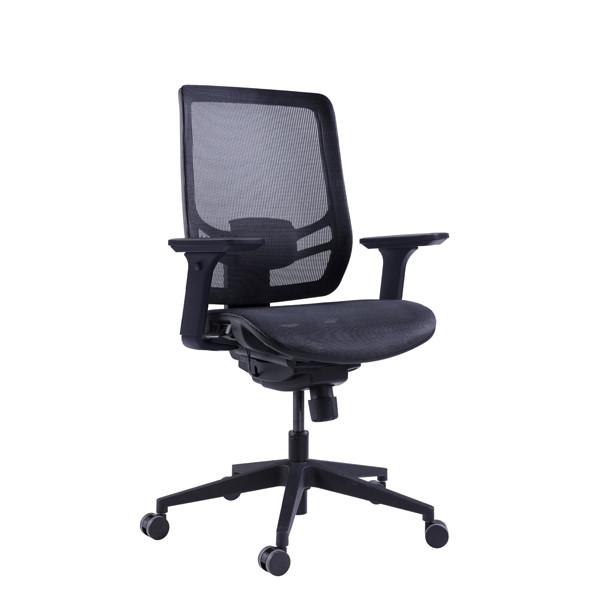 GTCHAIR InFlex 5D Armrest Swivel Office Chairs GT - 350mm Lumbar Support