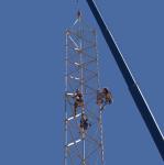50m Lattice Tubular Galvanized Steel Tower